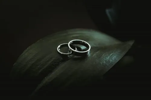 Two silver rings rest on dark green leaves against a dark background.