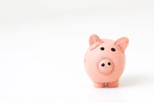 A pink piggy bank on a white background.