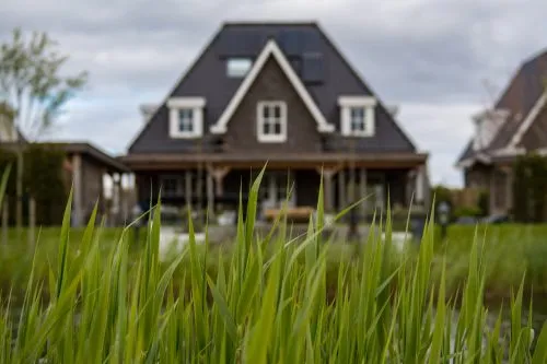 Blurry view of a house in the background with sharp focus on tall grass in the foreground.