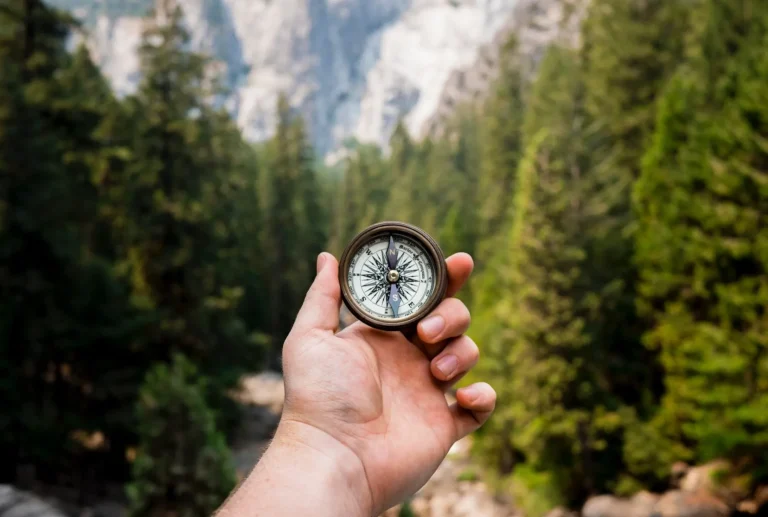 Hand holding a compass with a forest background.