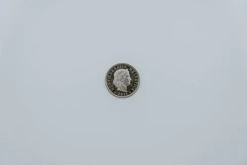 A single coin with a head silhouette is centered on a white background.