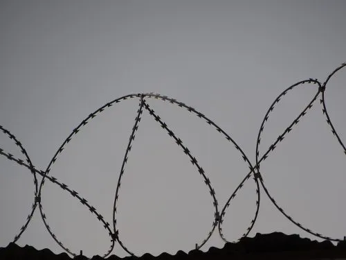 Coiled barbed wire atop a fence against a clear sky.