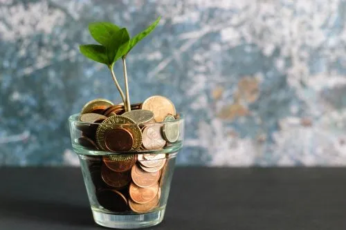 Coins and a small plant in a glass container represent financial growth.